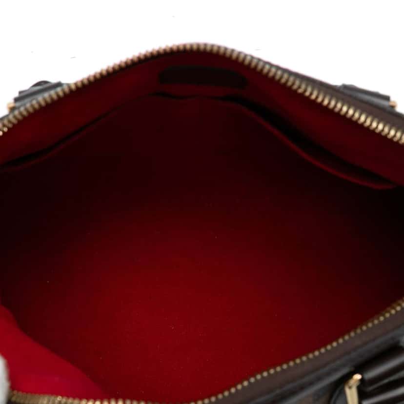 Louis Vuitton Damier Ebene Trevi PM Brown Good condition - Model View