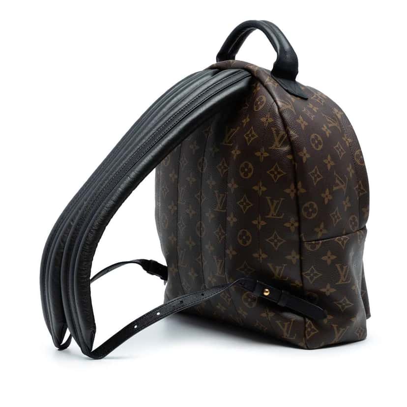 Louis Vuitton Monogram Palm Springs MM Brown Good condition - Back View