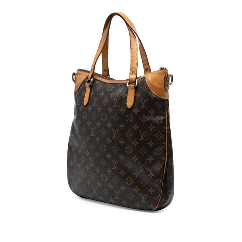 Louis Vuitton Monogram Odeon GM Brown Good condition - Back View