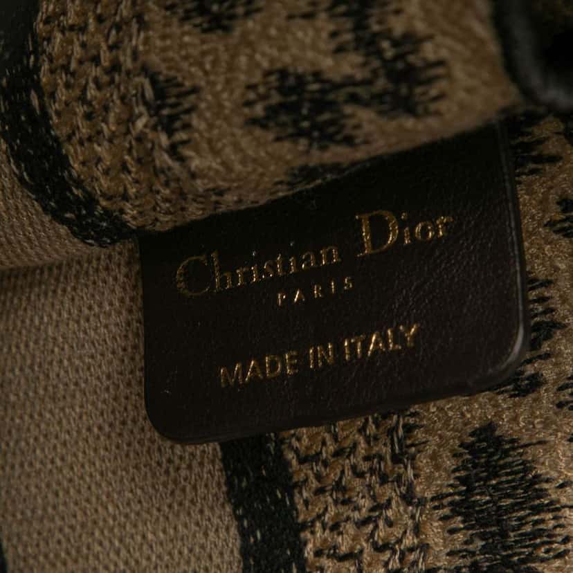Dior Mizza Mini Embroidered Canvas Leopard Book Tote Brown Canvas Good condition - Box View