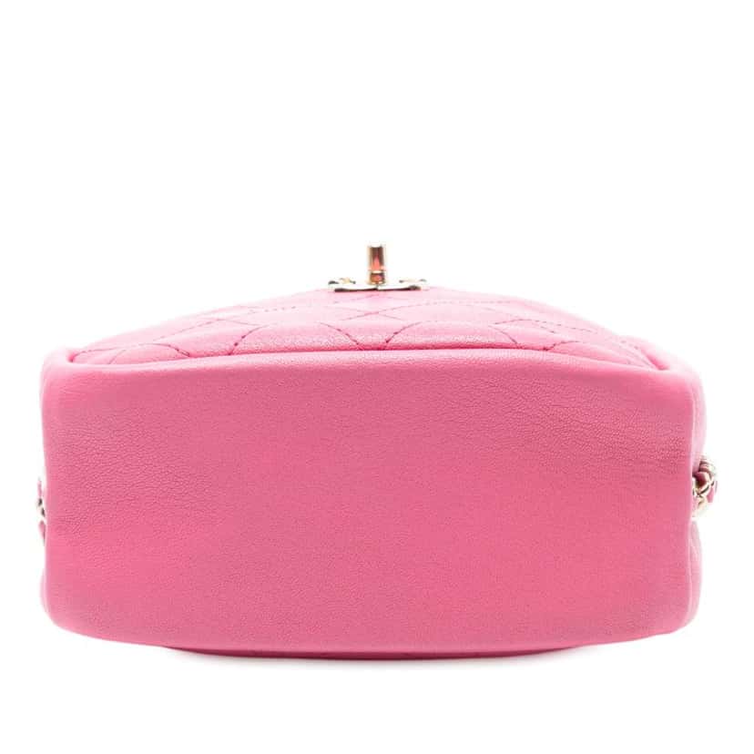 Chanel Stitched Goatskin Casual Trip North South Camera Case Pink Leather Good condition - Inside View