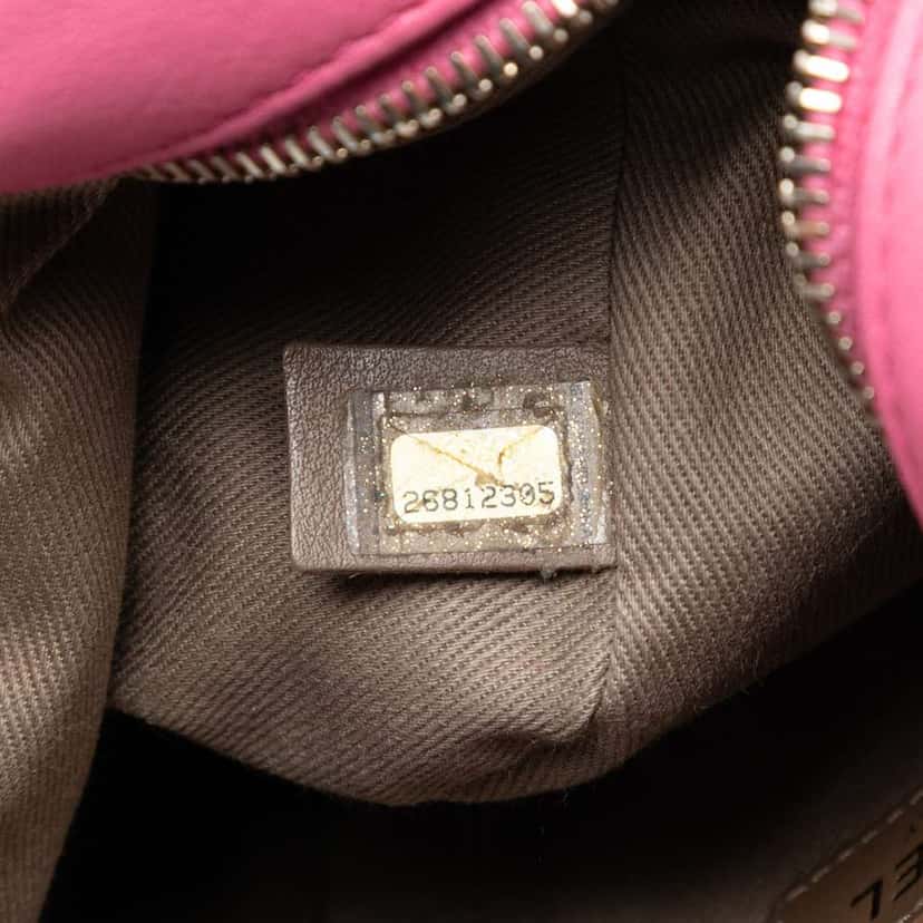 Chanel Stitched Goatskin Casual Trip North South Camera Case Pink Leather Good condition - Box View