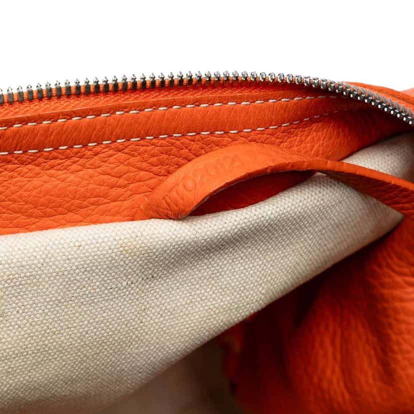 Goyard Goyardine Sac Hardy Pet Carrier PM Orange Canvas Good condition - Box View