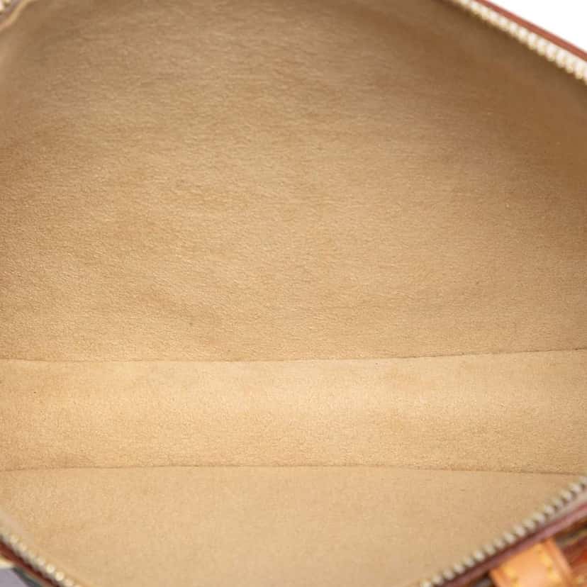 Louis Vuitton Takashi Murakami Monogram Cherry Blossom Pochette Accessoires Brown Good condition - Model View