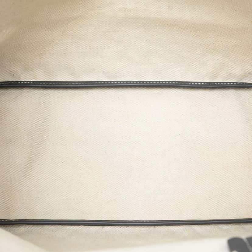 Goyard Goyardine Saint Louis PM Grey Canvas Good condition - Model View