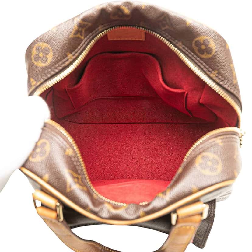 Louis Vuitton Monogram Excentri-Cite Brown Good condition - Model View