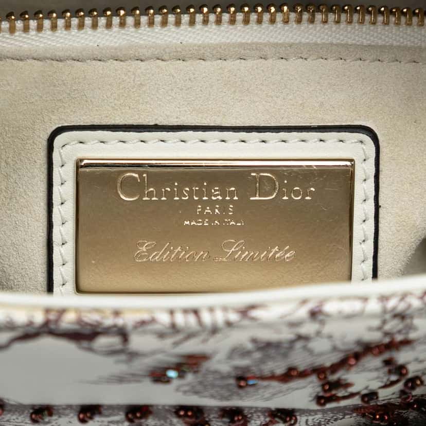 Dior Limited Edition Mini Calfskin Embroidered Toile de Jouy Lady Dior White Leather Good condition - Box View