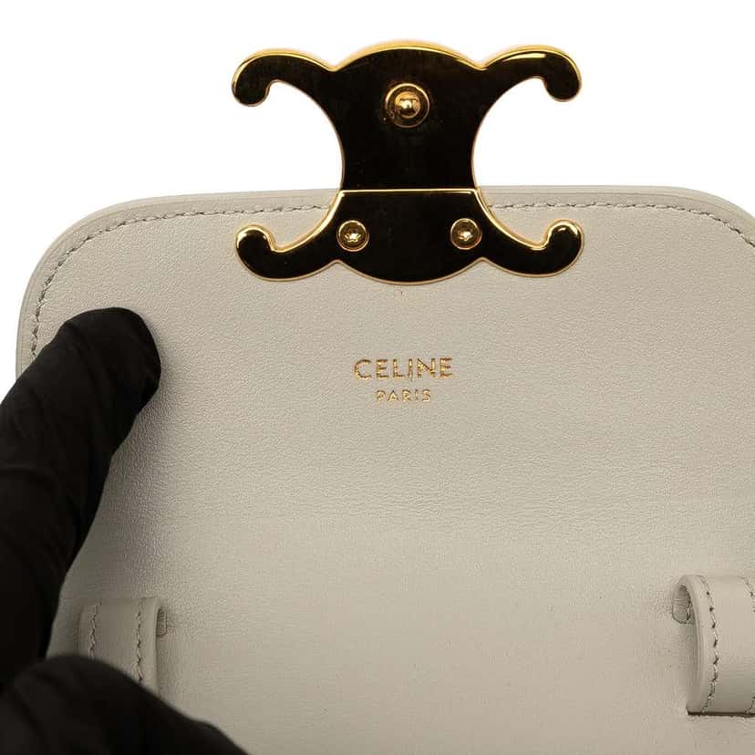 Celine Mini Calfskin Claude Crossbody Brown Leather Good condition - Box View