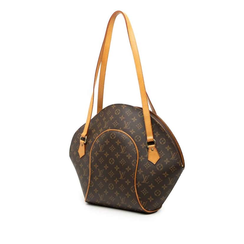 Louis Vuitton Monogram Ellipse GM Shopping Bag Brown Good condition - Back View