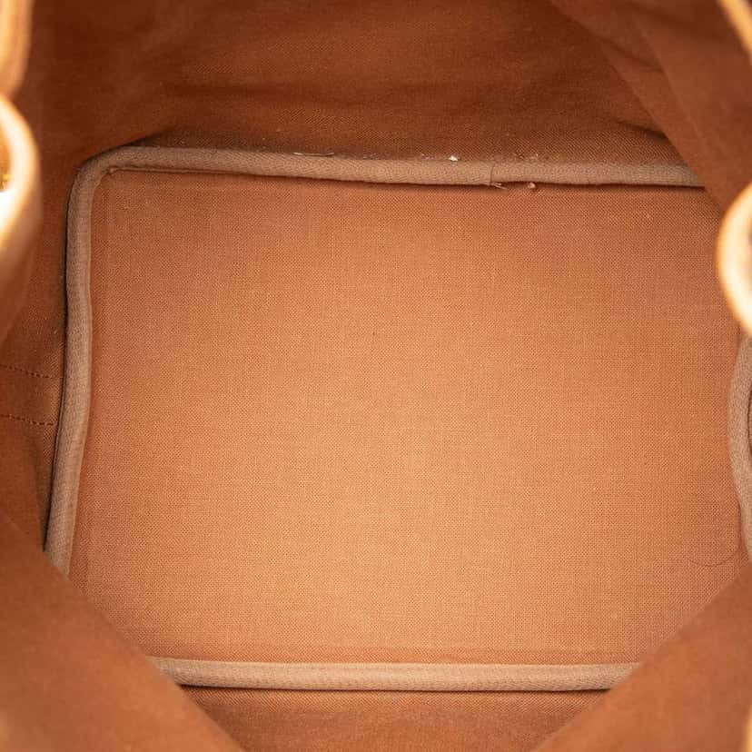 Louis Vuitton Monogram Petit Noe Brown Good condition - Model View