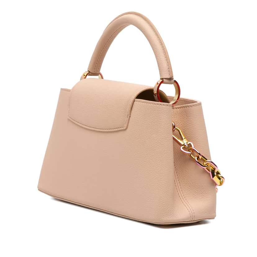 Louis Vuitton Grained Calfskin Capucines East West MM Brown Leather Good condition - Back View