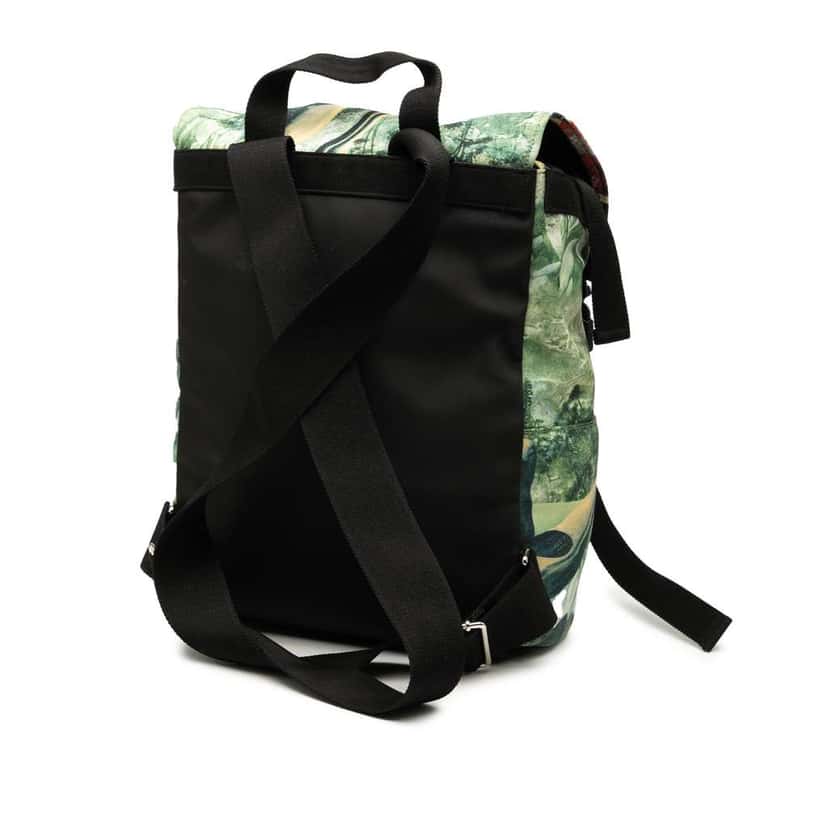 Valentino Roger Dean Red Dragon Nylon Backpack Green Very good condition - Back View