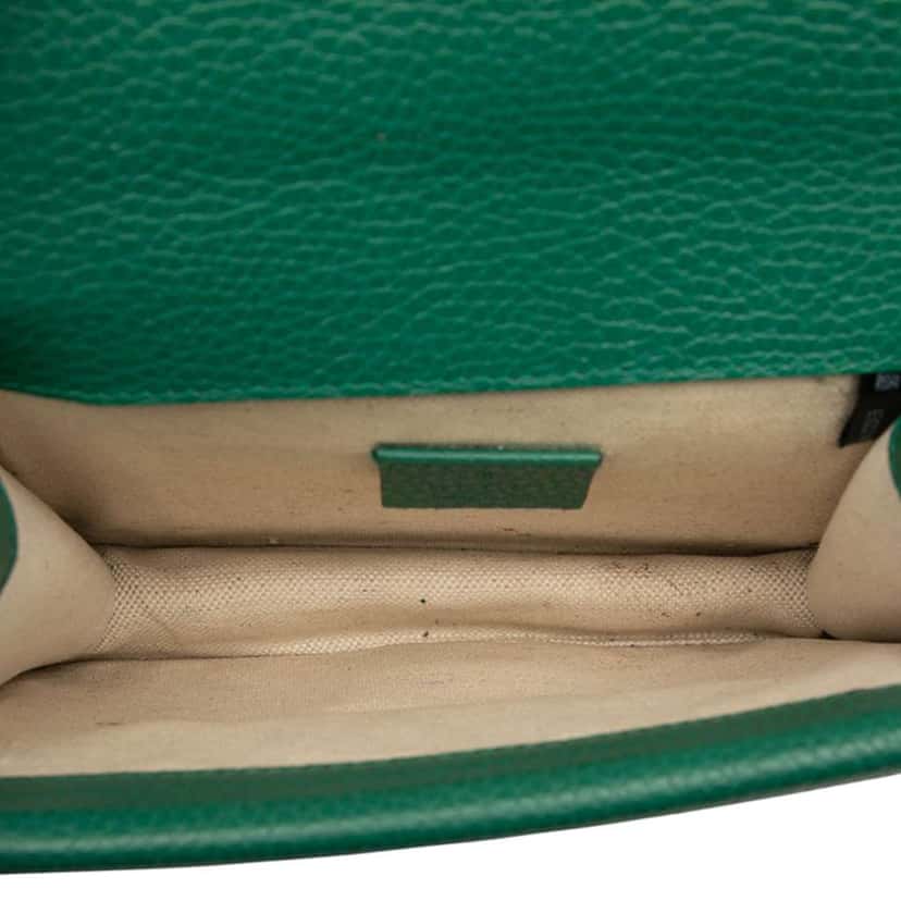 Gucci Small Leather Dionysus Crossbody Green Leather Good condition - Model View
