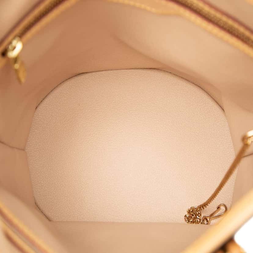 Louis Vuitton Monogram Petit Bucket Brown Good condition - Model View