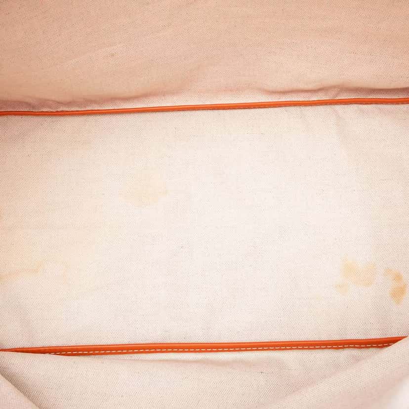 Goyard Goyardine Saint Louis GM Orange Canvas Good condition - Model View