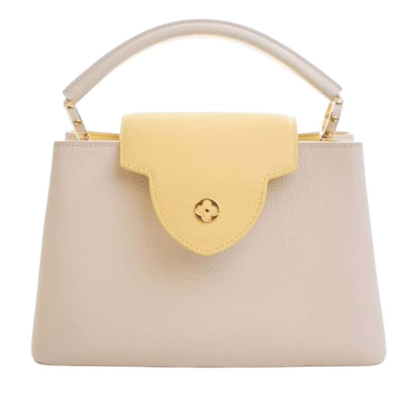 Louis Vuitton Taurillon Capucines PM White Leather Good condition - Back View