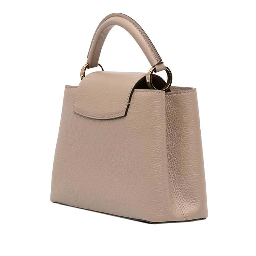 Louis Vuitton Taurillon Capucines BB Brown Leather Good condition - Back View