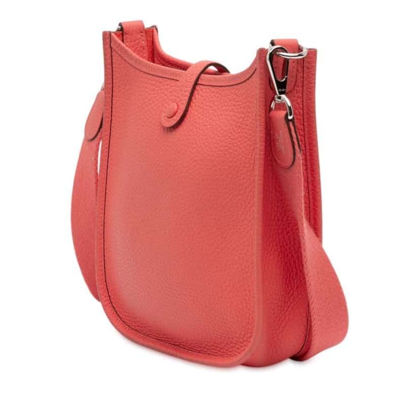 Hermès Clemence Amazone Evelyne TPM 16 Pink Leather Good condition - Back View