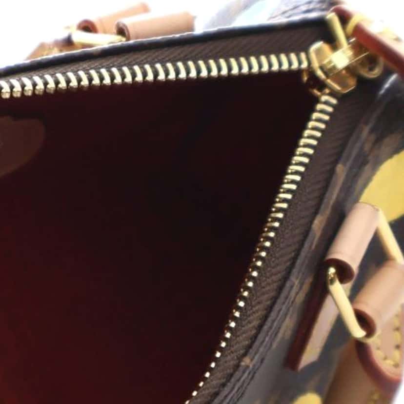 Louis Vuitton Yayoi Kusama Monogram Nano Speedy Bandouliere Brown Good condition - Model View
