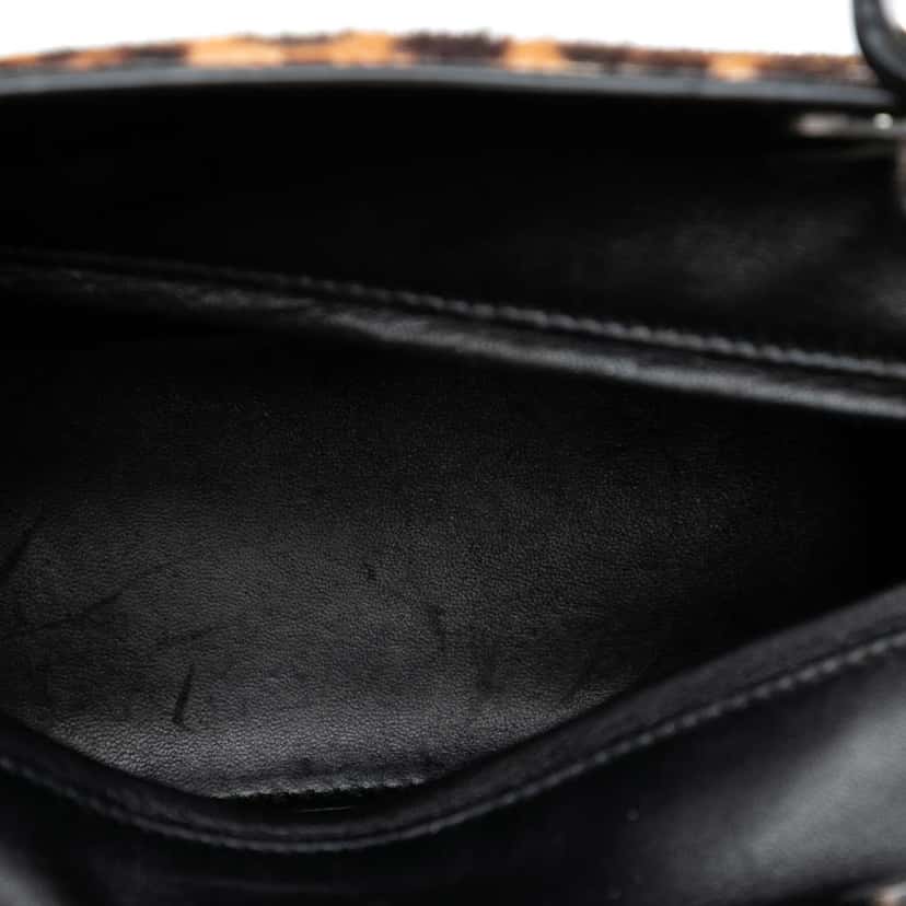 Dior Medium Pony Hair Leopard Print Lady Dior Brown Good condition - Model View
