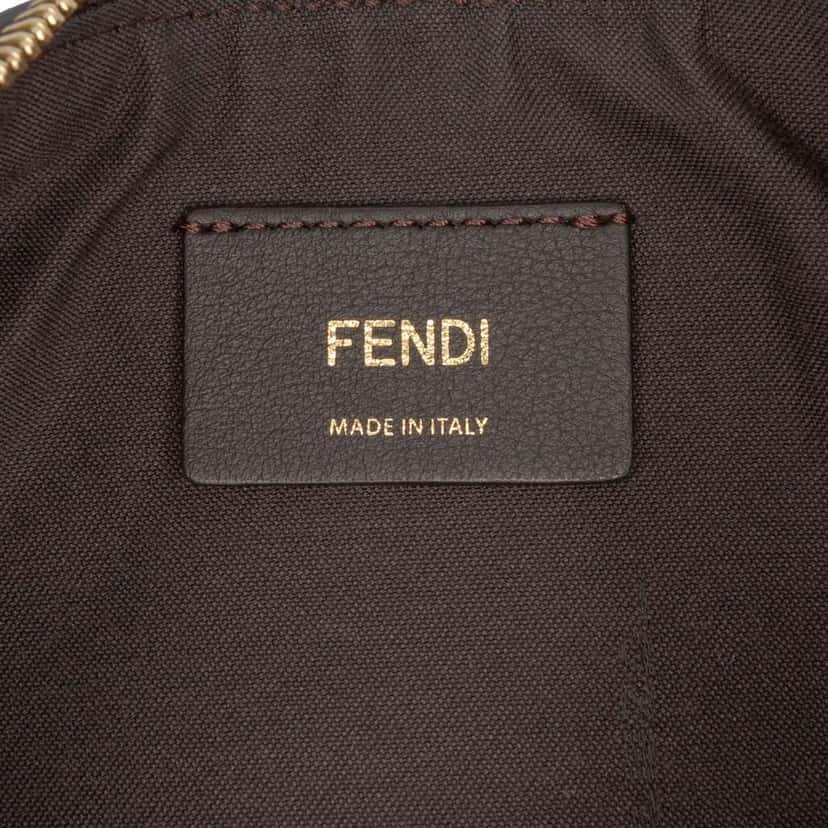 Fendi Small Calfskin and Suede Rainbow Fendigraphy Brown Leather Good condition - Box View