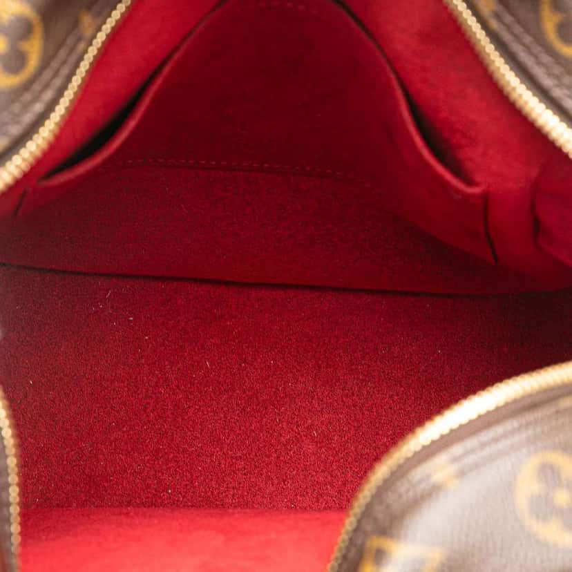 Louis Vuitton Monogram Excentri-Cite Brown Good condition - Model View