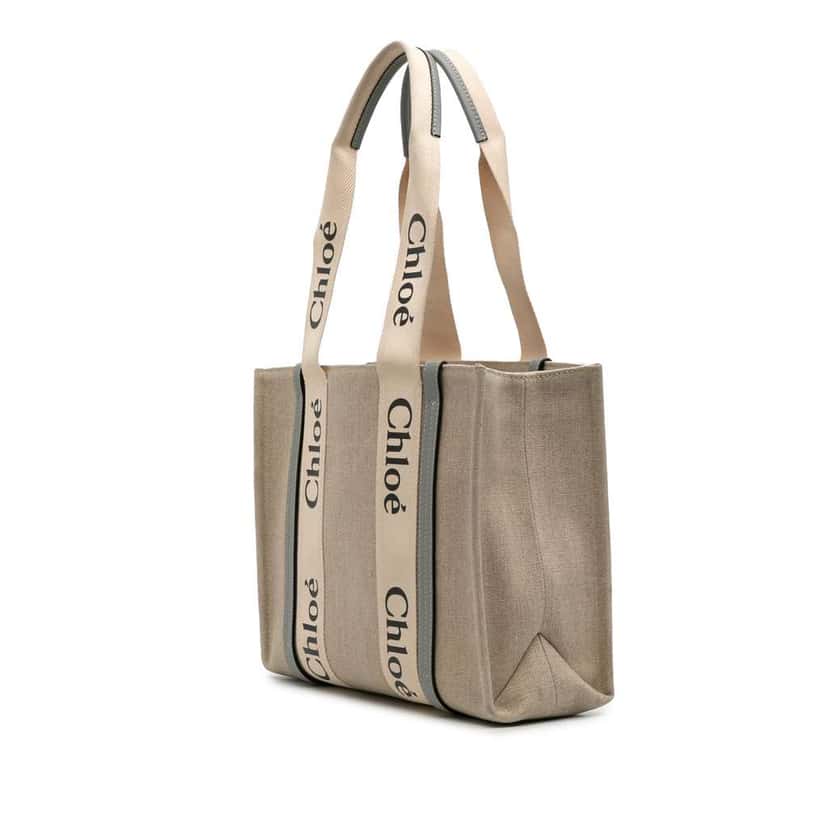 Chloé Medium Canvas Woody Tote Brown Canvas Good condition - Back View
