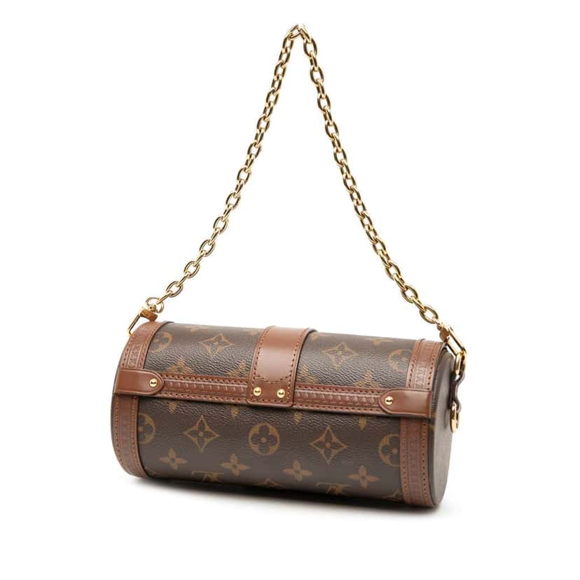 Louis Vuitton Monogram Papillon Trunk Brown Good condition - Back View