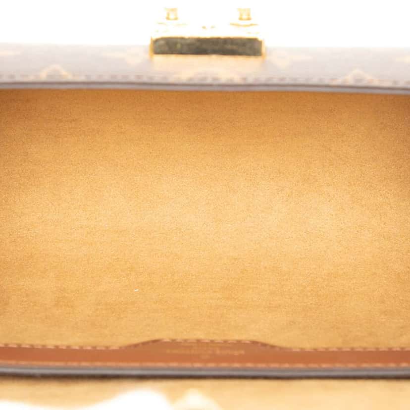 Louis Vuitton Monogram Papillon Trunk Brown Good condition - Model View