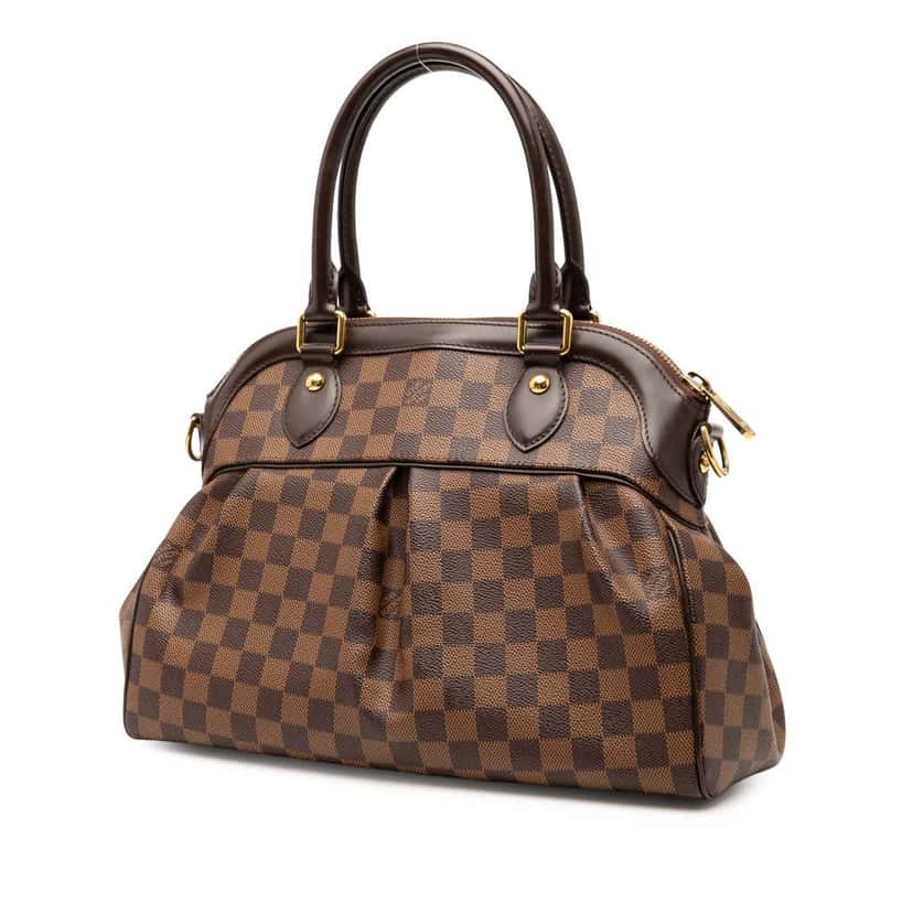 Louis Vuitton Damier Ebene Trevi PM Brown Good condition - Back View