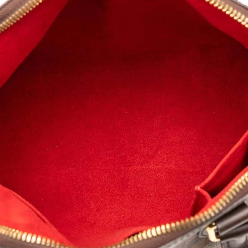 Louis Vuitton Damier Ebene Trevi PM Brown Good condition - Model View