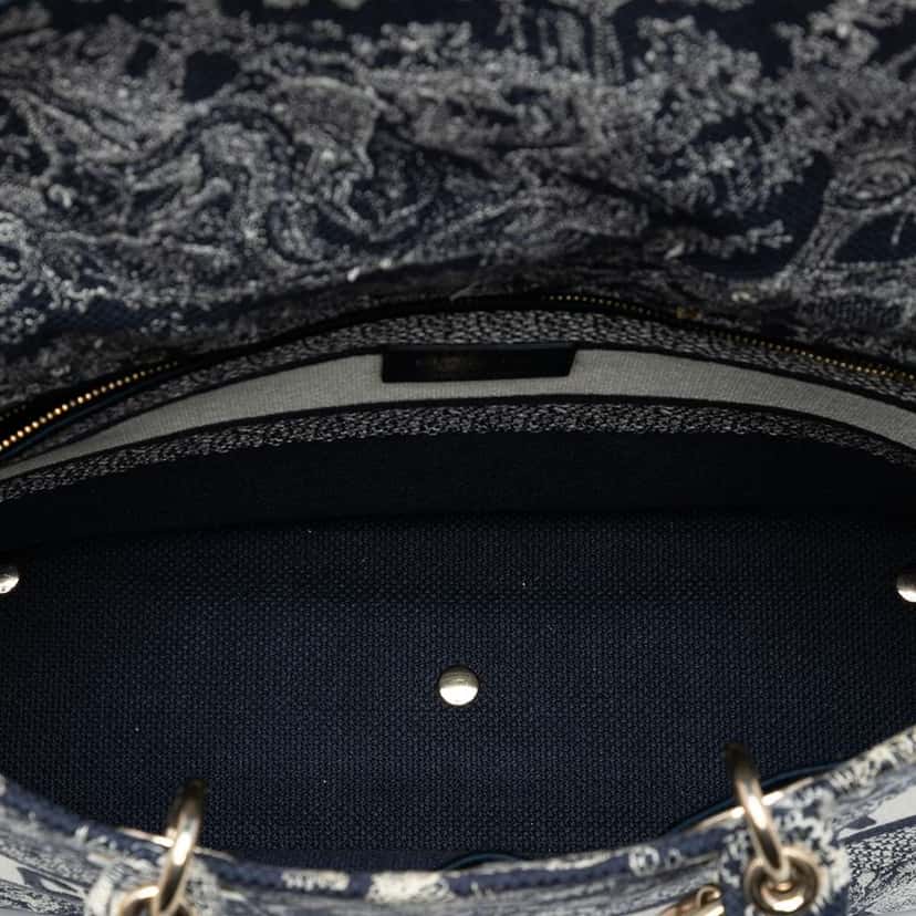 Dior Large Embroidered Canvas Toile de Jouy Lady D Lite Blue Canvas Good condition - Model View