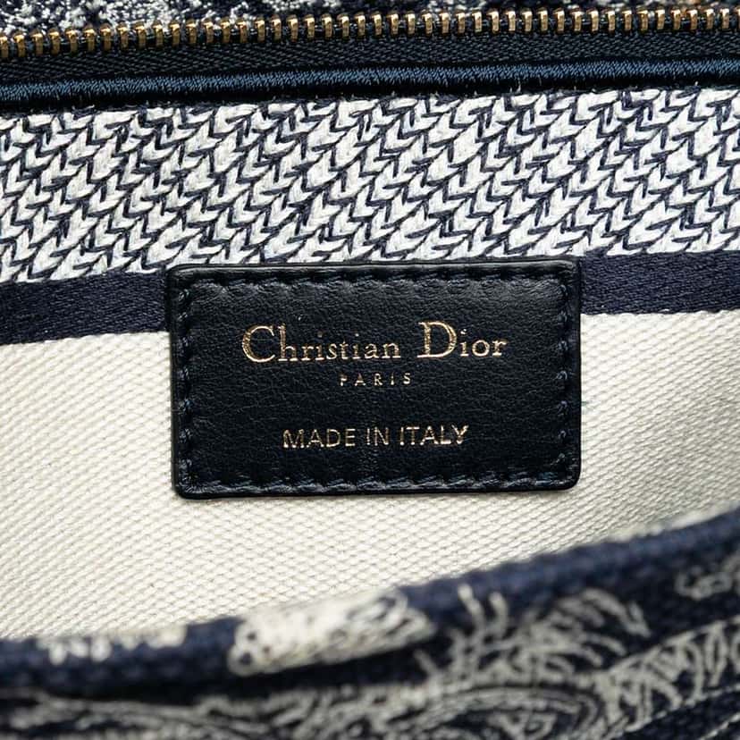 Dior Large Embroidered Canvas Toile de Jouy Lady D Lite Blue Canvas Good condition - Box View