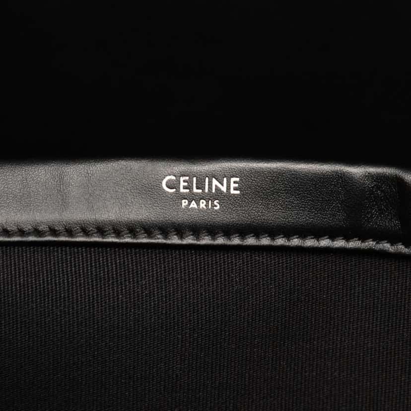 Celine XL Triomphe Coated Canvas Cabas Tote Brown Canvas Very good condition - Box View