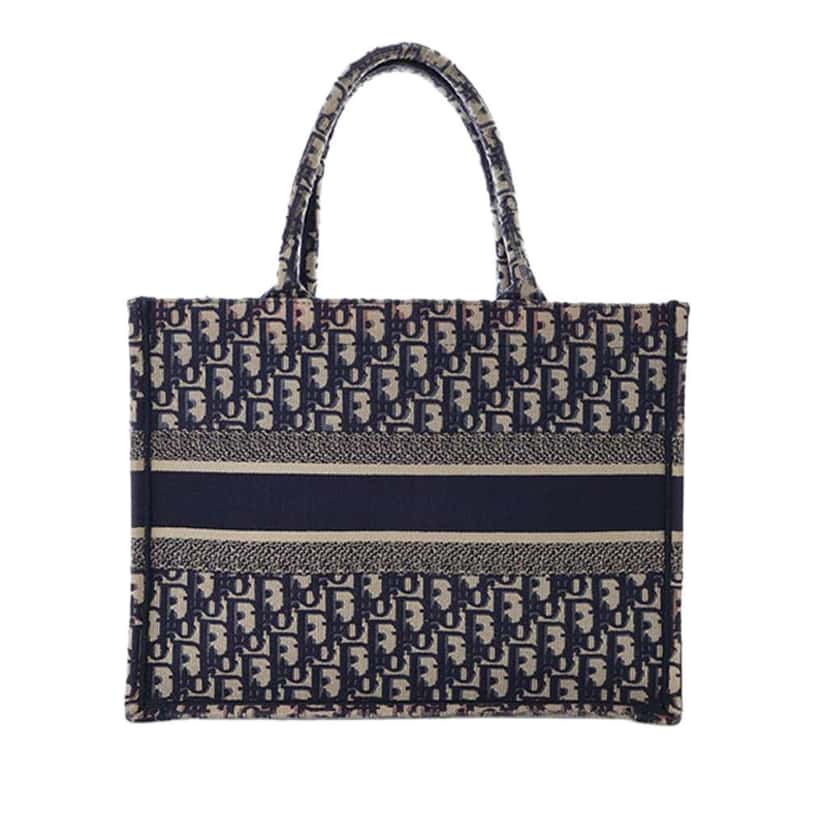 Dior Medium Oblique Embroidered Canvas Book Tote Blue Canvas Good condition - Model View