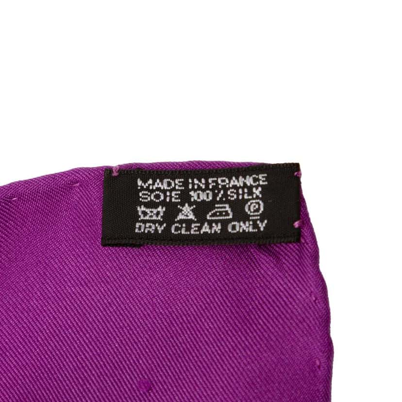 Hermès Par Mefsire Antoine De Plvvinel Silk Scarf 90 Purple Silk Good condition - Box View
