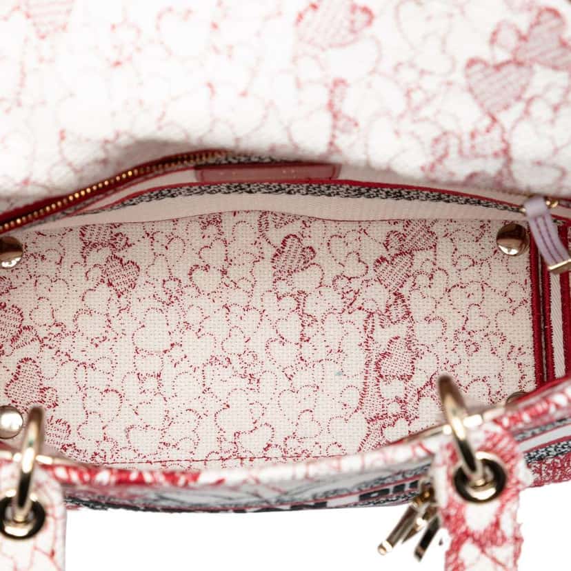 Dior DiorAmour Medium Embroidered Canvas Royale Lady D Lite Red Canvas Very good condition - Model View