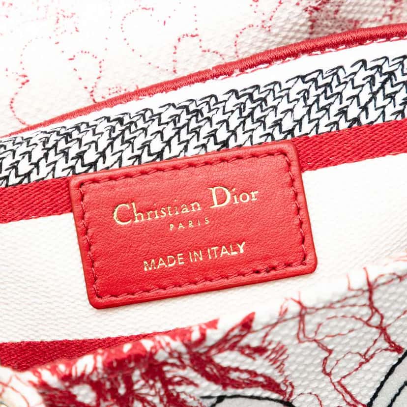 Dior DiorAmour Medium Embroidered Canvas Royale Lady D Lite Red Canvas Very good condition - Box View