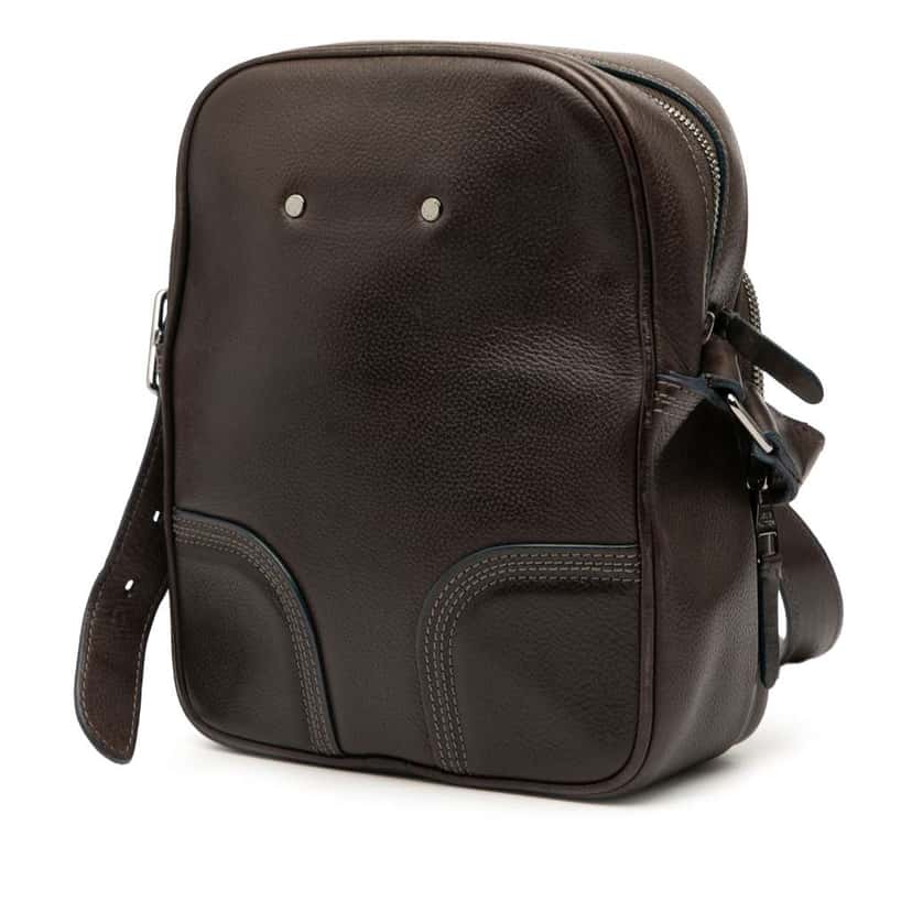 Louis Vuitton Leather Bequia Trotter MM Brown Leather Very good condition - Back View