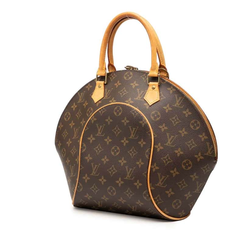 Louis Vuitton Monogram Ellipse MM Brown Good condition - Back View