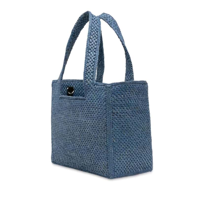 Loewe Medium Raffia Font Tote Blue Good condition - Back View