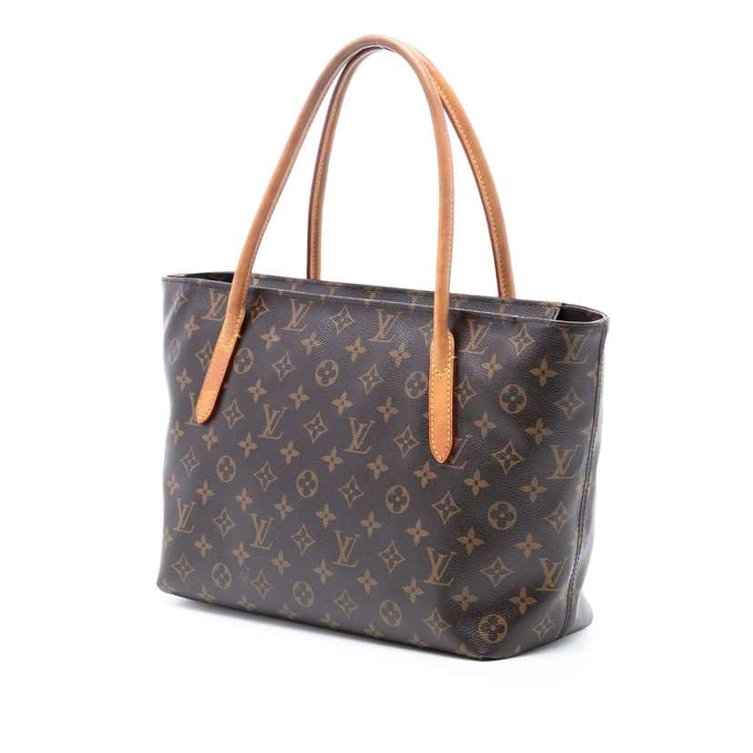 Louis Vuitton Monogram Raspail PM Brown Good condition - Back View