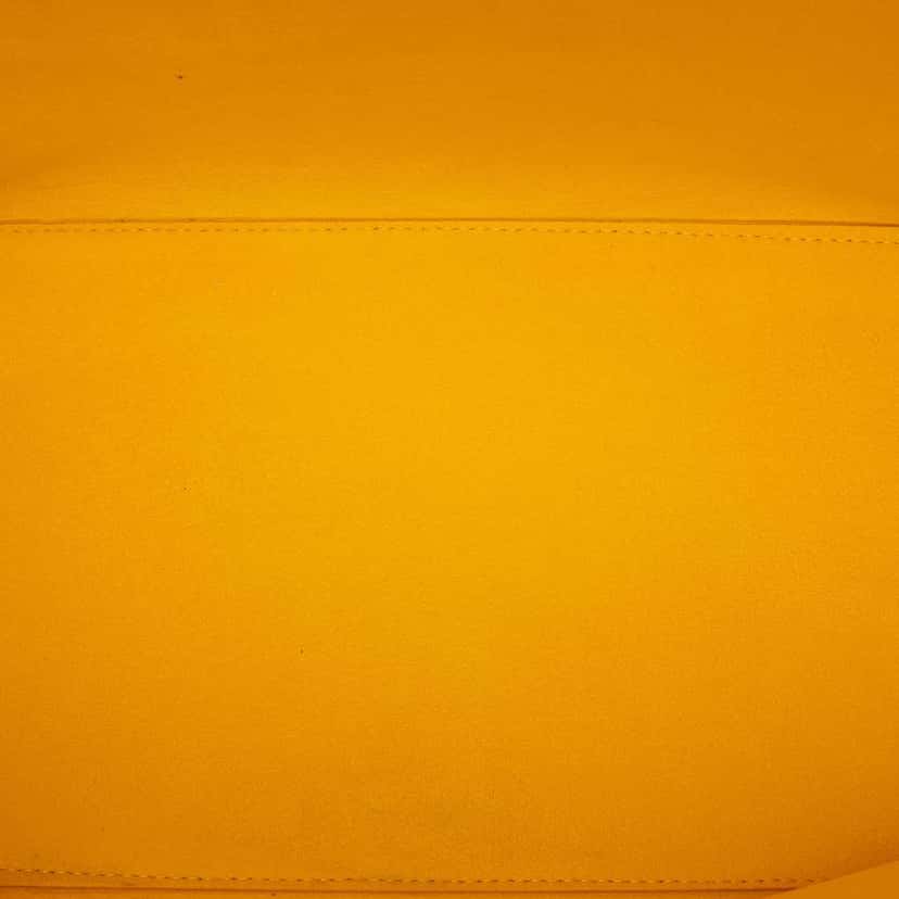 Louis Vuitton Epi Neverfull MM Yellow Leather Very good condition - Model View