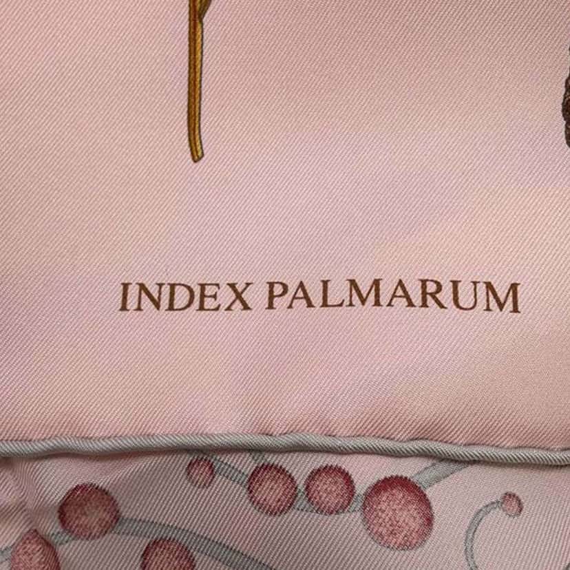 Hermès Index Palmarum Silk Scarf 90 Pink Silk Very good condition - Back View