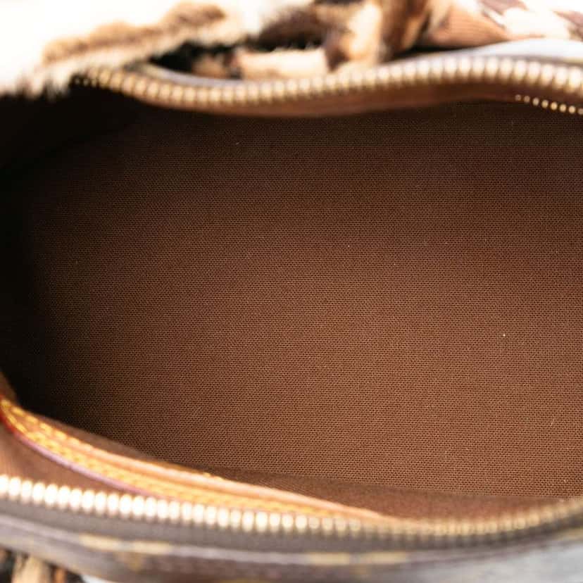 Louis Vuitton Azzedine Alaia Monogram Leopard Alma Brown Good condition - Model View