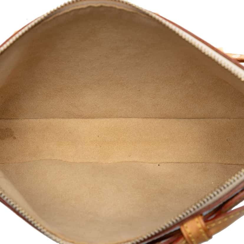 Louis Vuitton Takashi Murakami Monogram Cherry Blossom Pochette Accessoires Brown Good condition - Model View