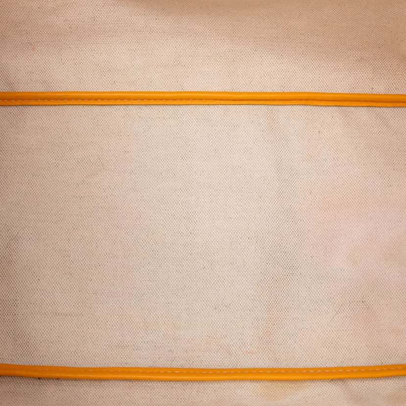 Goyard Goyardine Saint Louis PM Yellow Canvas Good condition - Model View