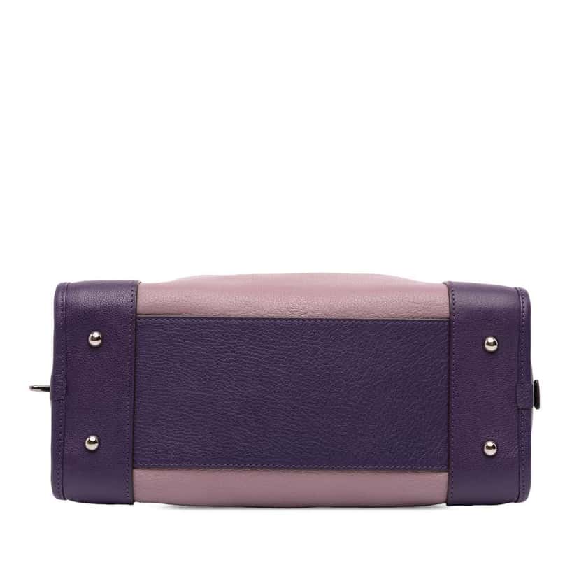 Loewe Tricolor Goatskin Amazona 28 Purple Leather Good condition - Inside View