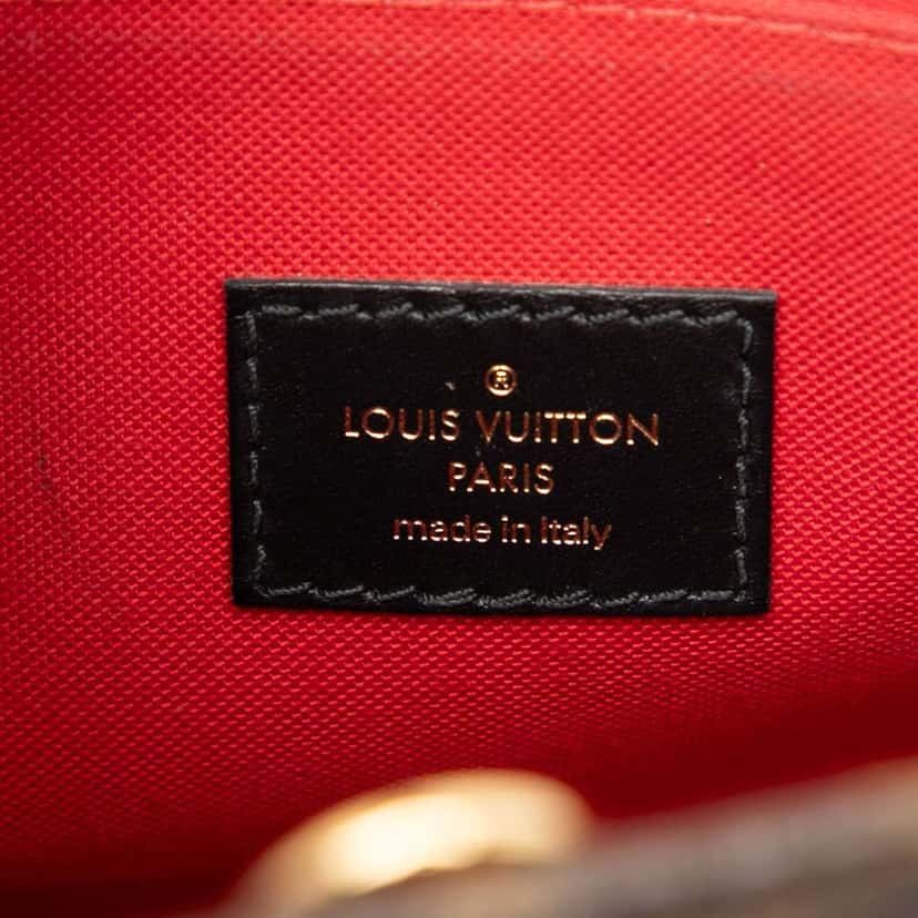 Louis Vuitton Monogram Reverse Giant OnTheGo PM Brown Good condition - Box View