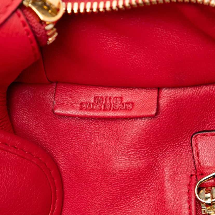 Loewe Limited Edition Goatskin Amazona 28 Red Leather Good condition - Box View
